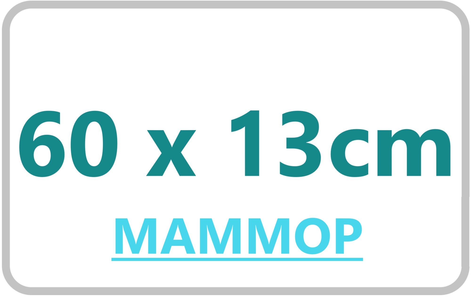 5._MAMMOP_60x13